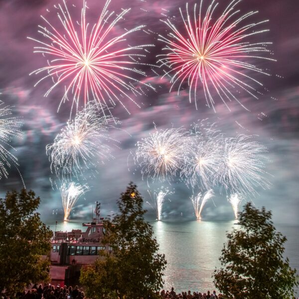 Feu d'artifice vannes