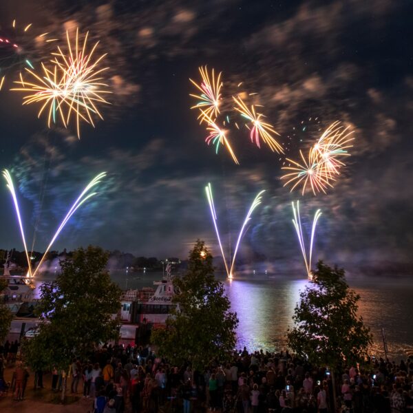 feu d'artifice vannes