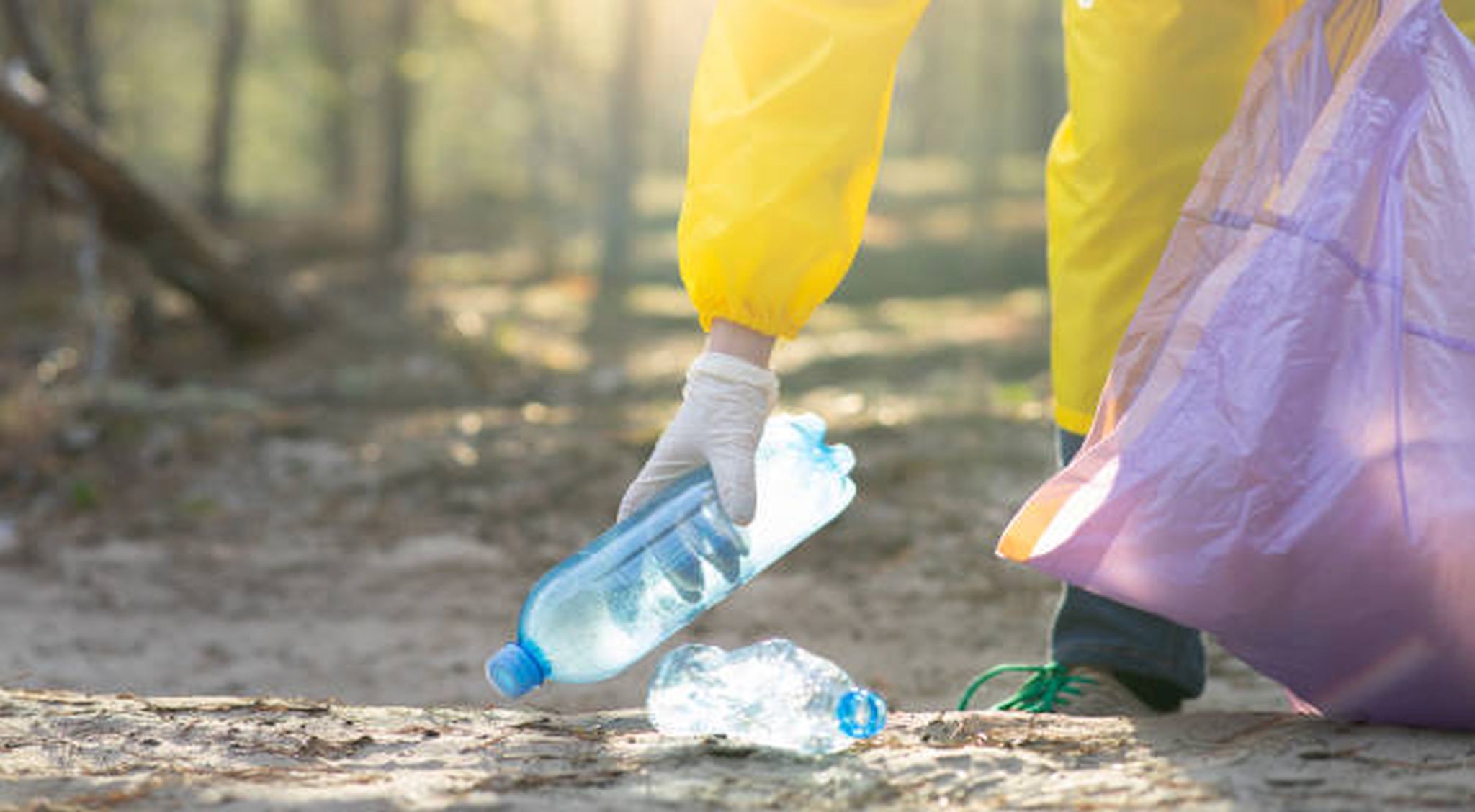 world clean up Vannes